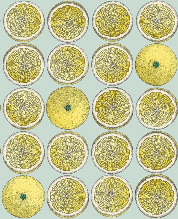 Arance Lemon & Seafoam - Cole & Son