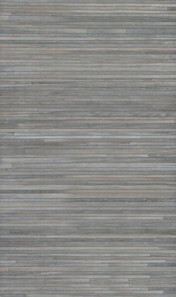 Casalian Dove - Arte