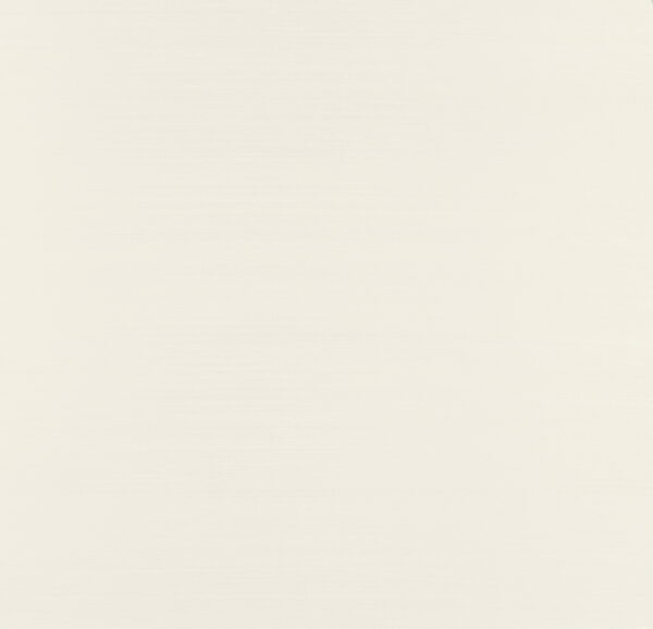 Papillon Cloth - Arte
