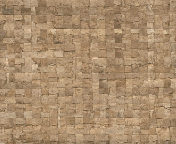 Alba Bark - Arte