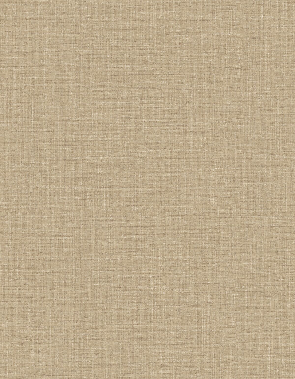 Ovillo Ginger - Arte