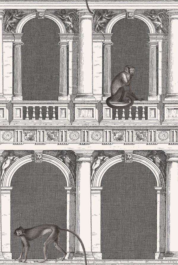 Procuratie e Scimmie - Cole & Son