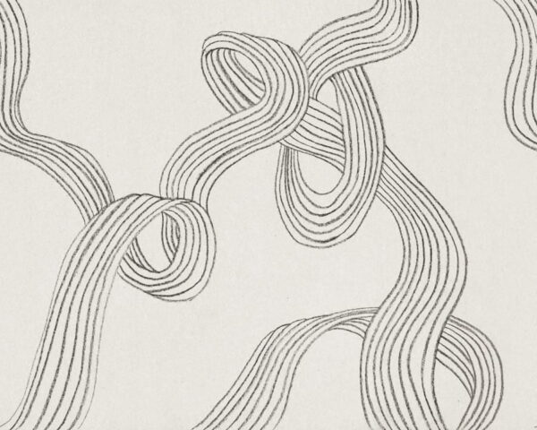 Stripes Graphite - Rebel Walls