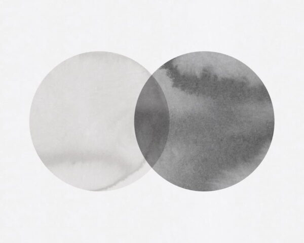Eclipse Graphite - Rebel Walls