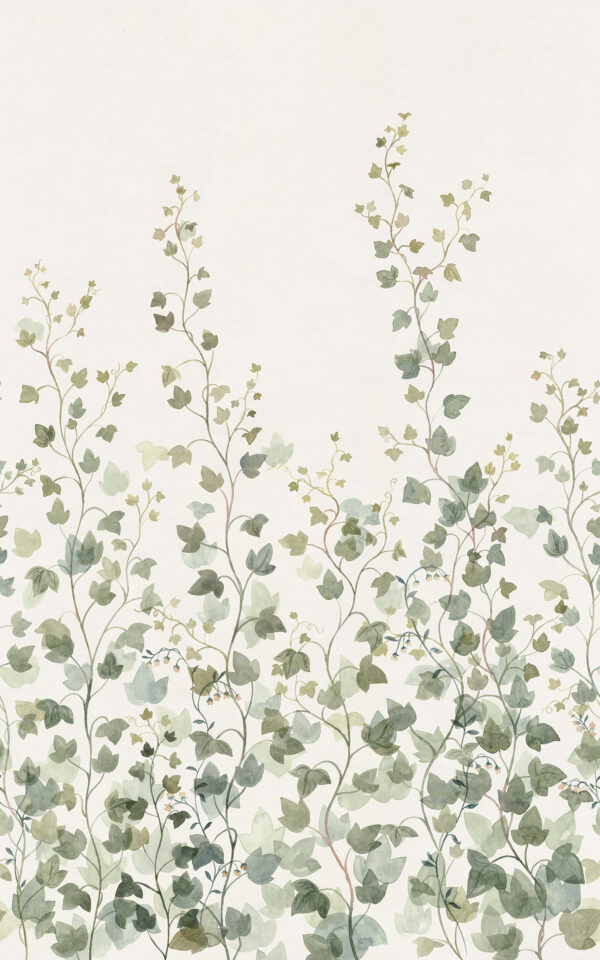Ivy, Green - Sandberg