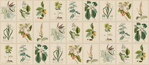 Flora, Green - Sandberg