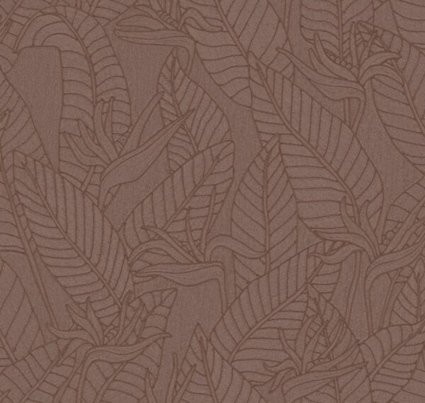 Strelitzia Hickory - Arte